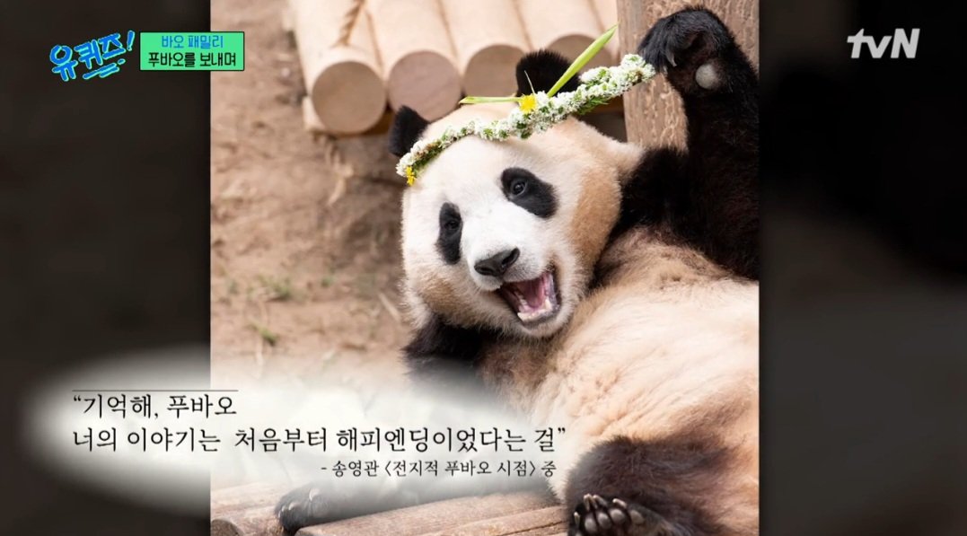 푸바오 영화 개봉된다…사육사 “아이바오에게 ‘괜찮니?’ 물어보고파” (유퀴즈) #푸바오 #사육사 #아이바오 #유퀴즈 #iMBC 송영관은 다큐멘터리와...