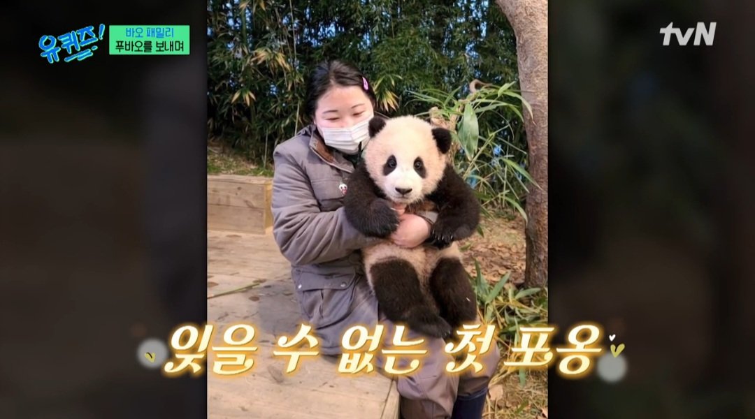 푸바오 영화 개봉된다…사육사 “아이바오에게 ‘괜찮니?’ 물어보고파” (유퀴즈) #푸바오 #사육사 #아이바오 #유퀴즈 #iMBC 송영관은 다큐멘터리와...