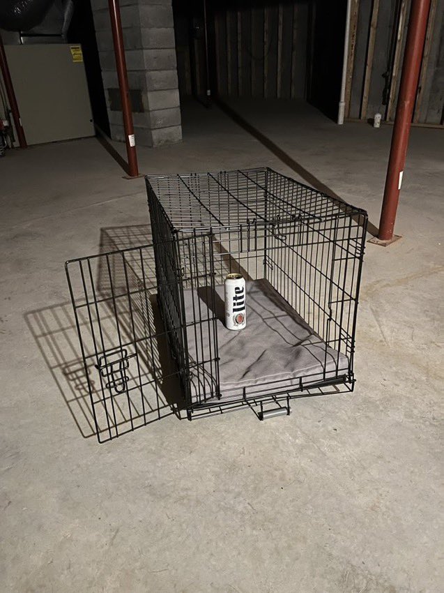 frice the midnight joneser tweet media