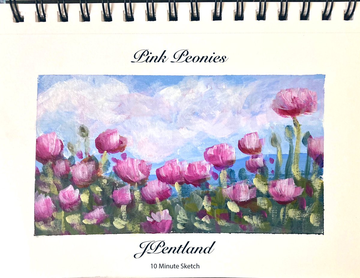 Pink Peonies 10-minute sketch on 5.5 x 8.5-inch paper. I'm supposed to do a 10-minute practice sketch daily. That's not happening with my schedule.😅 It's hard to paint flower stems with the required 12-inch brush.🤣 #art #painting