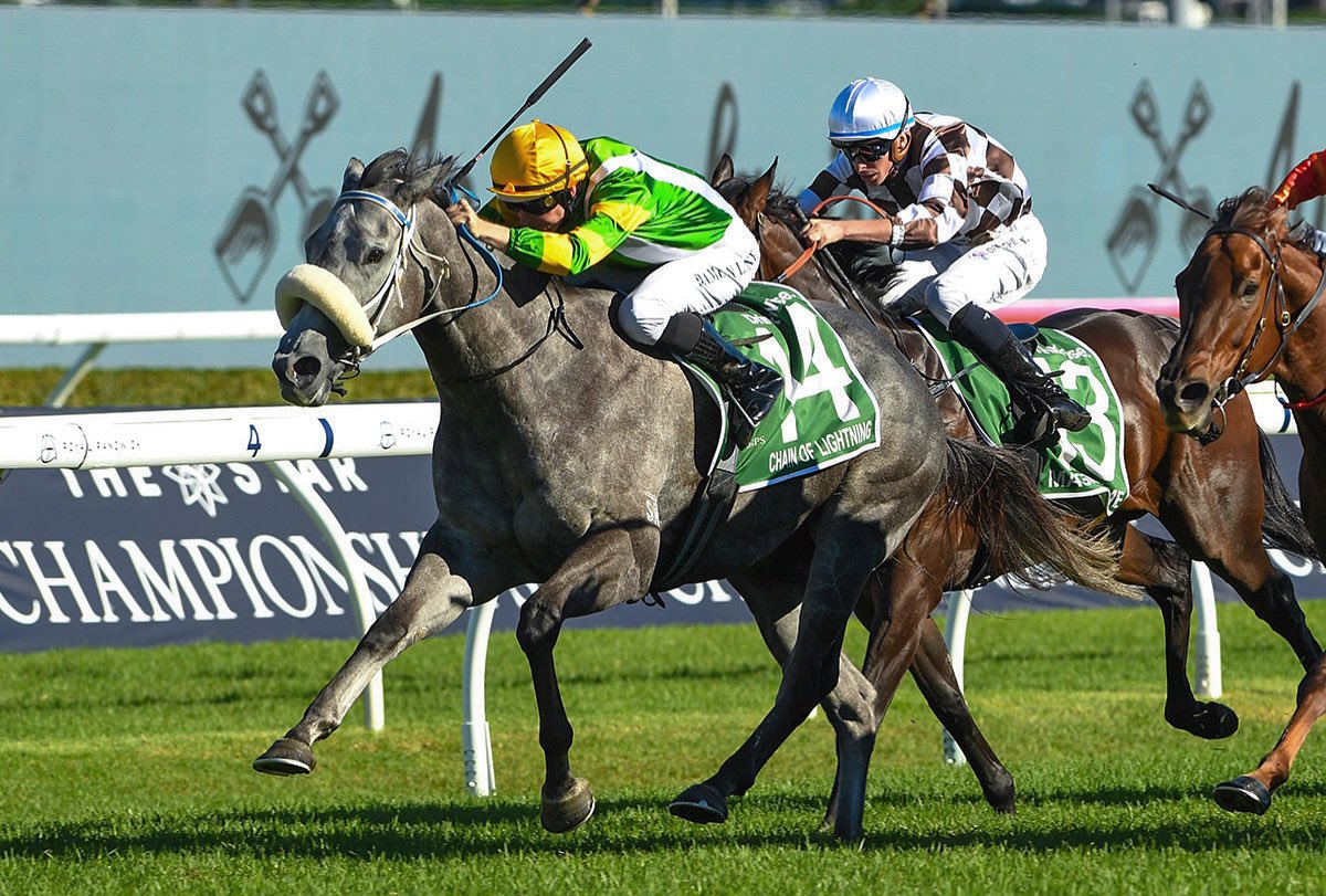 This Saturday the All Aged Stakes, one of the final Group One races of the Sydney Autumn carnival, will see 14 starters compete over 1400m for $1.5 million. Among the contenders is Chain Of Lightning, seeking back-to-back Group One victories following her win in the TJ Smith