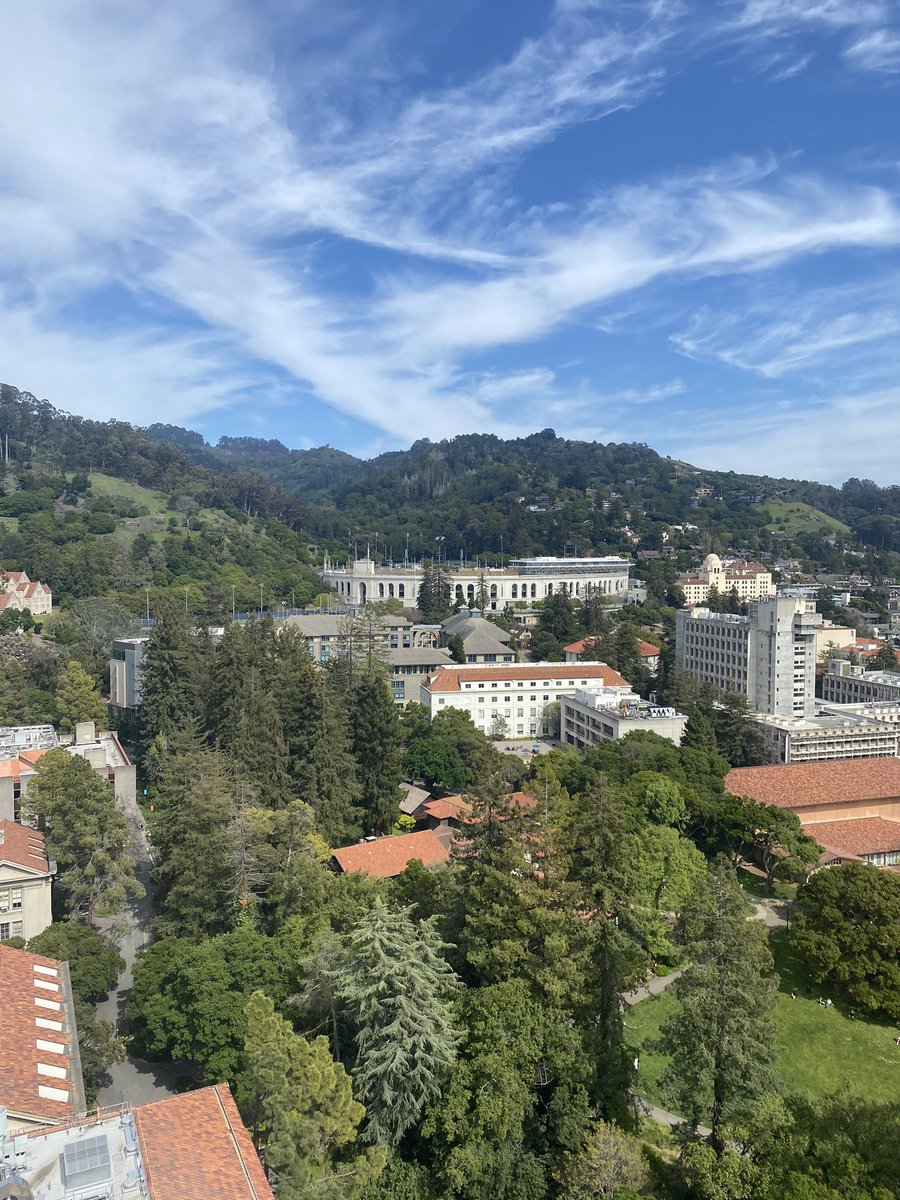 CMS looking sharp from the campanile today