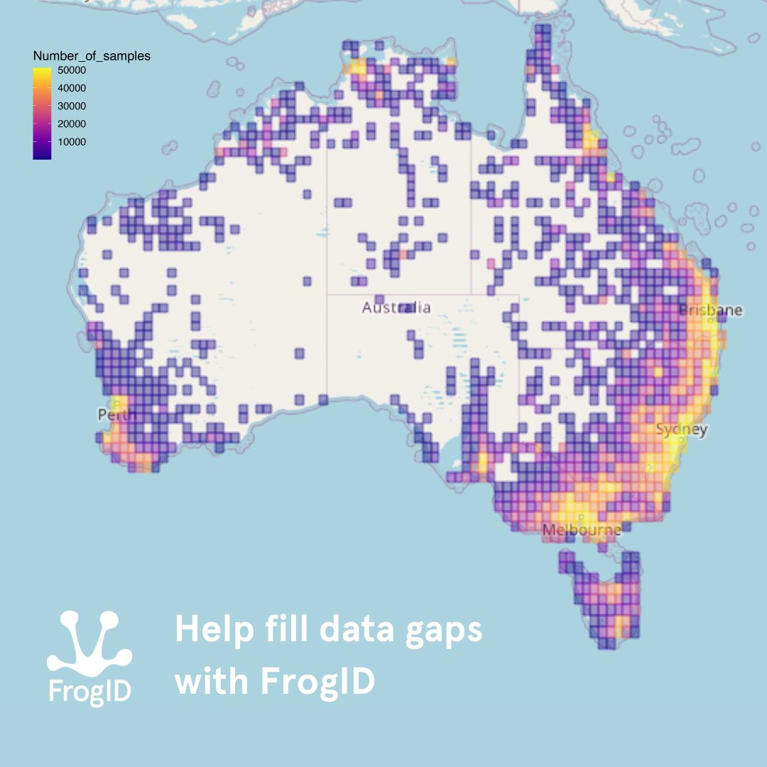 FrogID data covers over 37% of Australia! If you live, work or visit remote parts of Australia, please keep an ear out for frogs after rainfall and record with #FrogID. Learn more: frogid.net.au/spatial-covera…