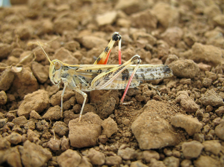 Barrier Truth tweet media