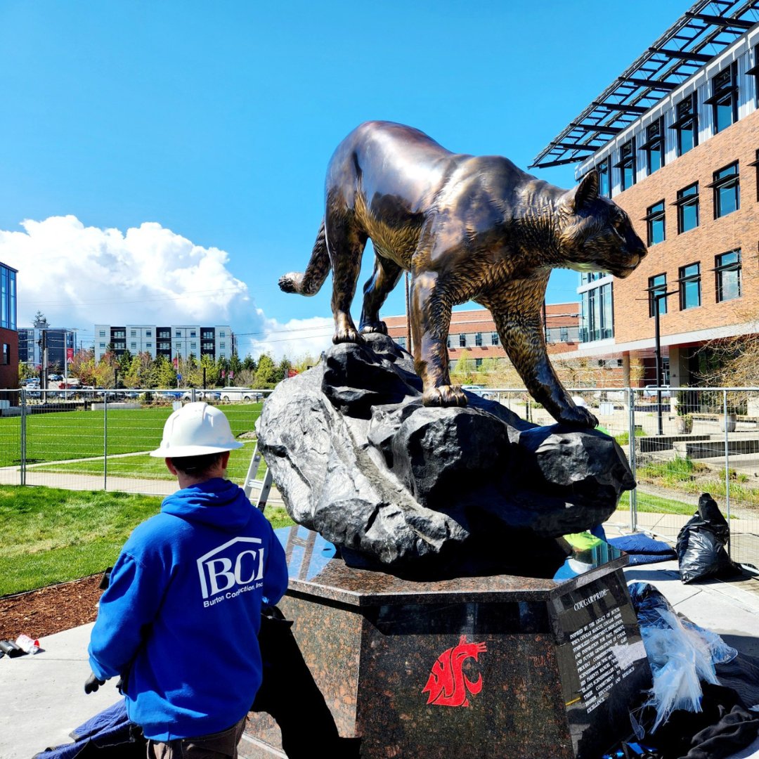 Roaring with excitement! 🐾 The Cougar Pride statue has landed at WSU Everett, thanks to the amazing generosity of Gary Schneidmiller. This iconic symbol unites Cougs across all campuses. #GoCougs #WSUEverett #CougarPride