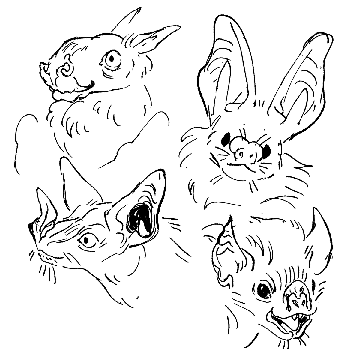 happy international bat day, don't forget about the ugly bats