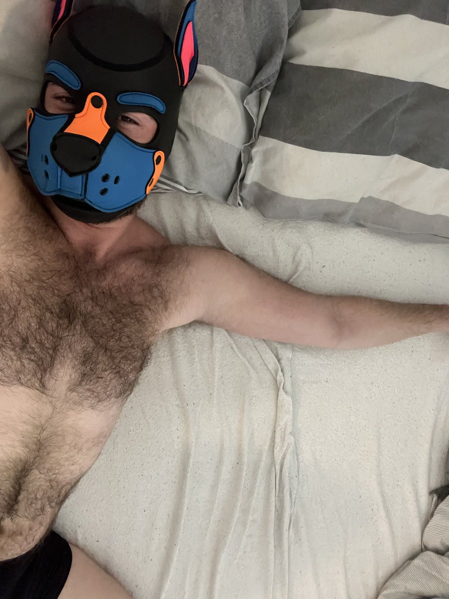 Wolf boi Boinky tweet media