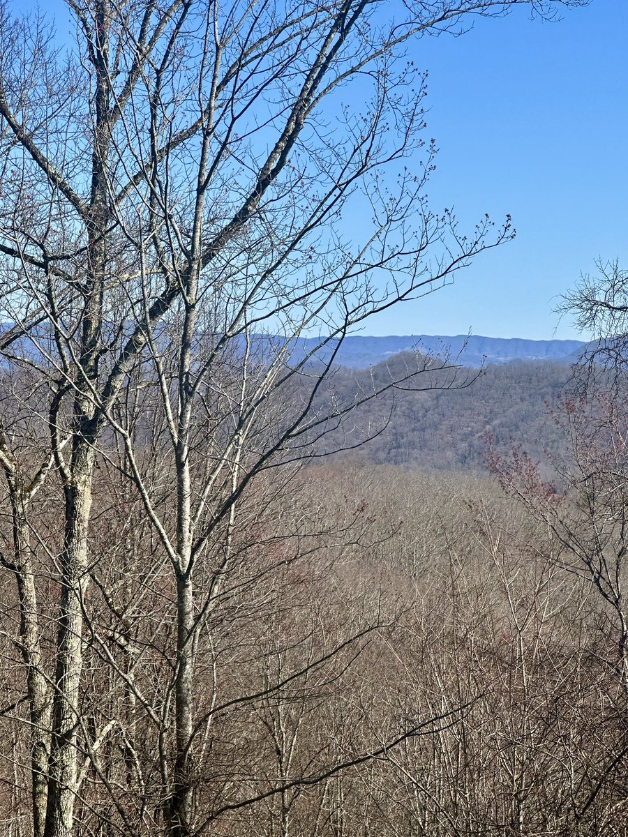 A view from our property in SWVA, looking up into WV. 

Think it’s about time to put a cabin up there.