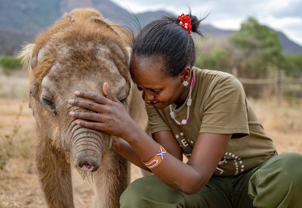 We’re celebrating Long’uro’s 4th rescueversary this week! We can’t believe it’s been four years since he became part of Reteti’s herd. We remember his rescue like it was just yesterday…