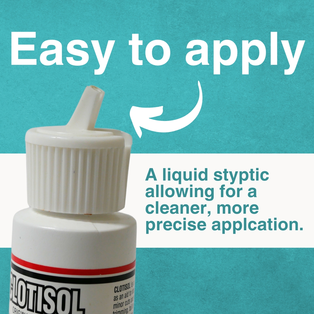 creativescienc4's tweet photo. Clotisol Blood Clotting Suspension's convenient spout allows for a precise and mess free application making it the ideal way to stop bleeding of minor cuts &amp; wounds for animals!

Head on over to https://t.co/0BIW2nxiOA to learn more!

#animalhealth #pets #dogs #cats https://t.co/Zx4DETf4lt