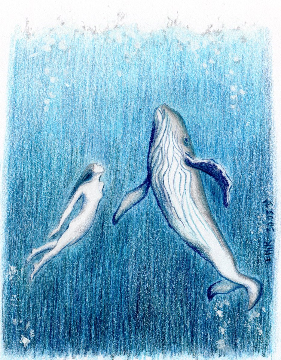 The bottom of the ocean dragaflora.blogspot.com/2024/04/the-bo… #drawing #colorpencils #sketching #sketchbook #bluesea #blueocean #blue #art #nature #illustrations #inspiration #drawingsea