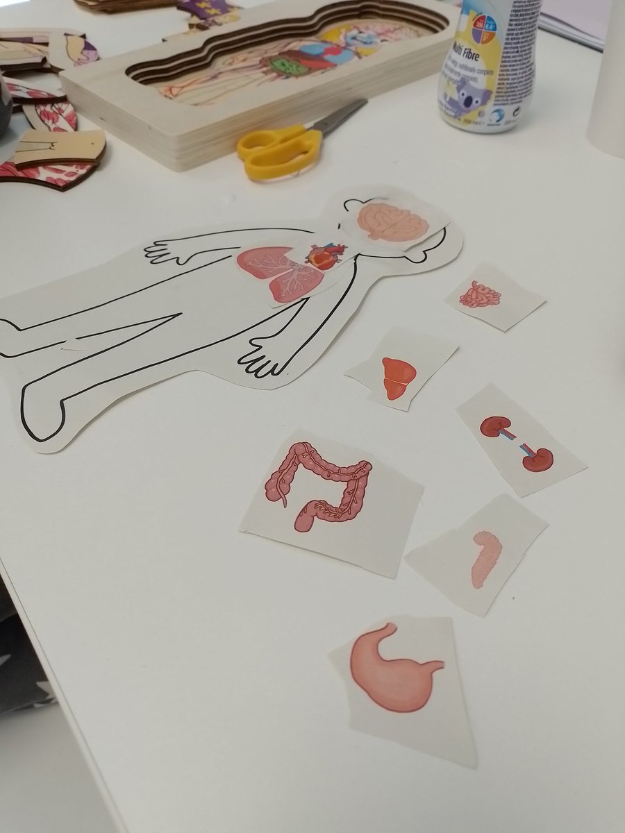 Today, Levi tried really hard to name and understand the parts of the human body...... skeleton, digestive system, and the circulatory system. @HullHospitals #biology #KS2 #thehumanbody #hospitallife