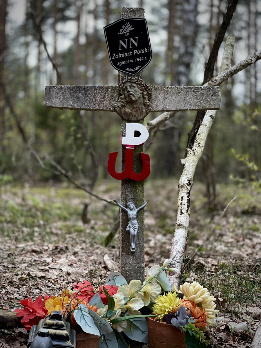 Tydzień temu pięknie zadbany. Dzisiaj lekkie zdziwienie. Nie wiem czy jest sens obrażać to bydło, które to zrobiło. Ludzkie ścierki nie uszanują nawet leśnego grobu. Skurwienie części społeczeństwa osiągnęło poziom szamba. To nie były zwierzęta, bo one nie przeniosłyby półtora