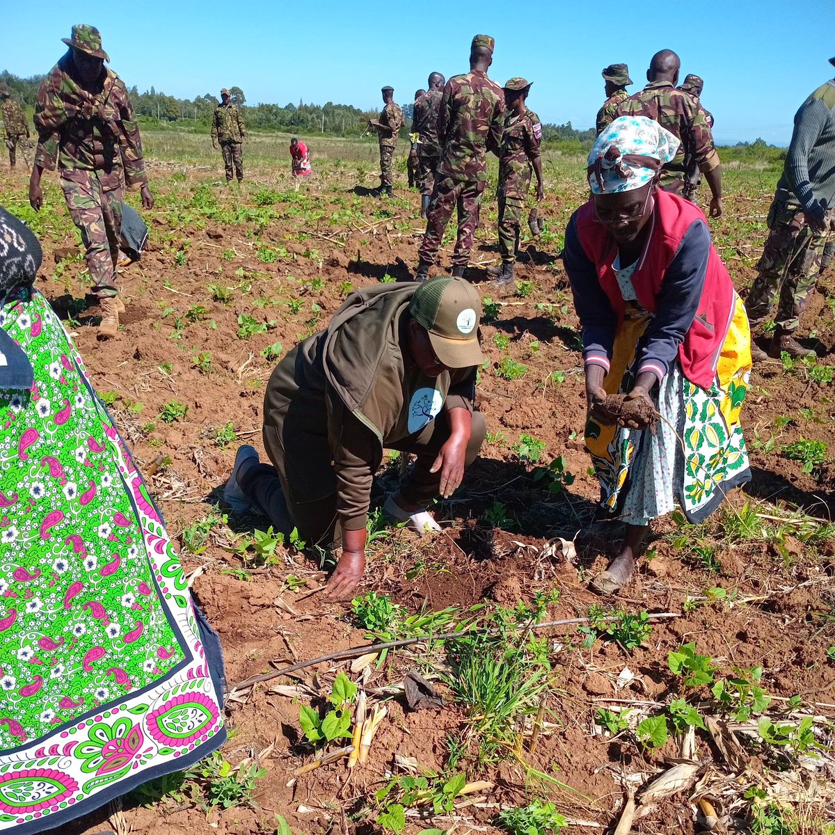 The military Working with the communities living around the barracks to grow trees on their farms and homes