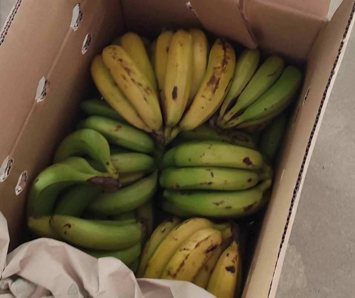 Sonja Hartl tweet media