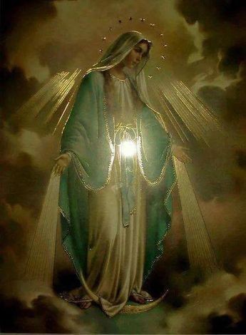 O Mary, conceived without sin, pray for us who have recourse to thee!!