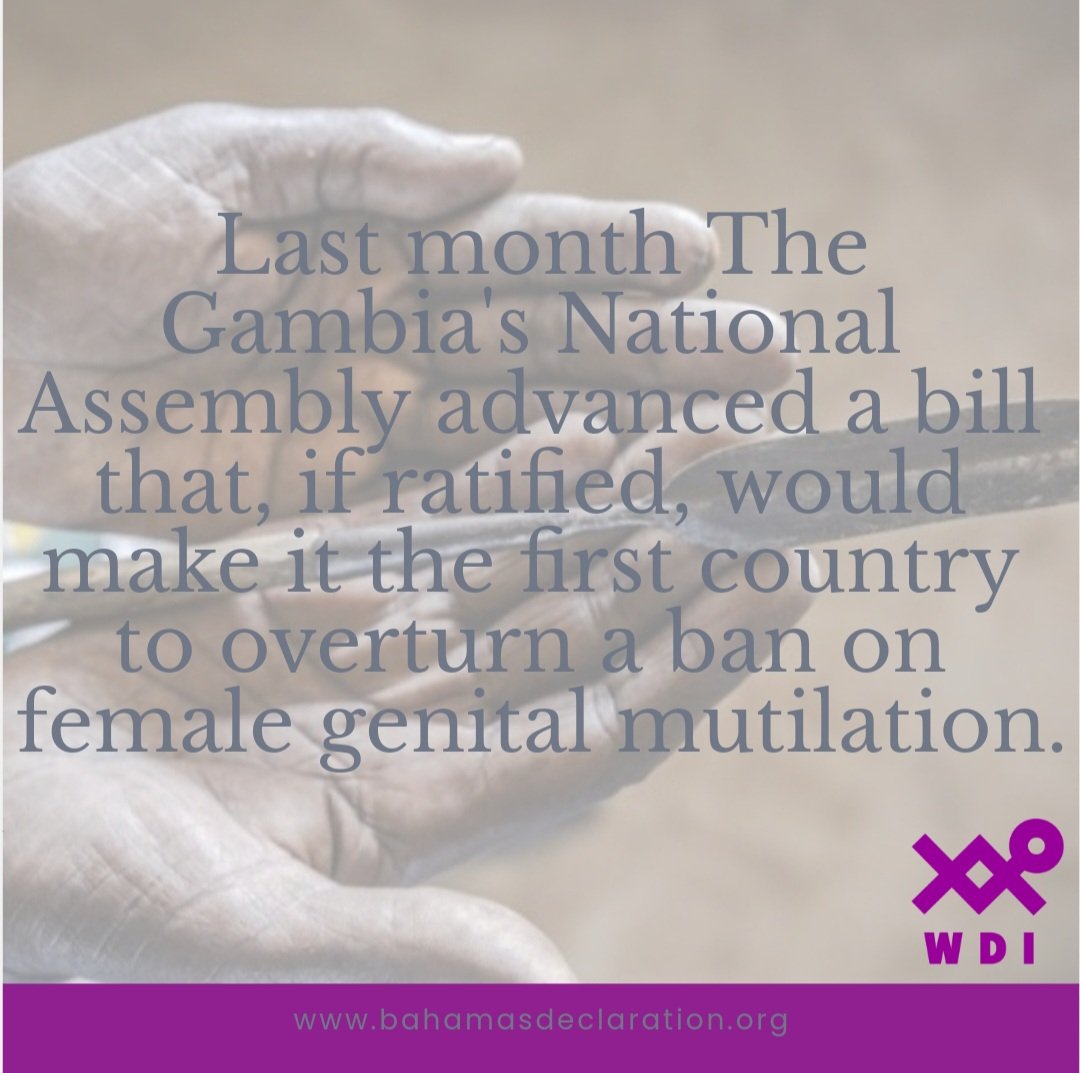WDIBahamas's tweet photo. DID YOU KNOW⁉️‼️🚩🚩🚩🚩🚩🚩🚩

Have you heard about Women's Declaration International? 

Sign the declaration and support article 8 that reaffirms the need for the elimination of violence against women. https://t.co/jnBSYEbXwC