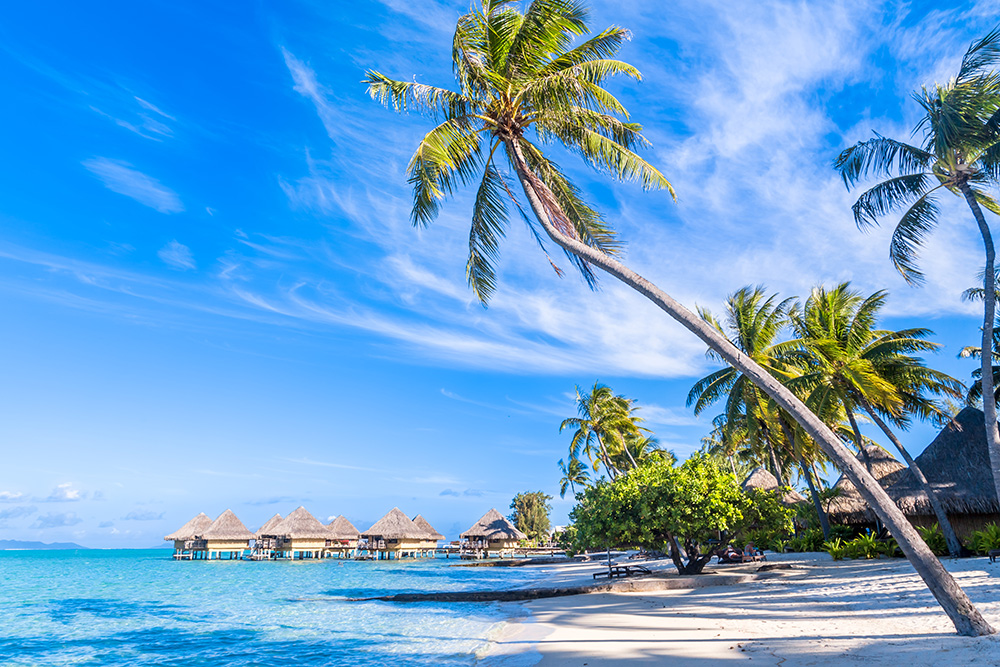 villa_tracker's tweet photo. Travel professionals can book incredible vacation rental properties through Villa Tracker and earn commission every time.

Find out more: https://t.co/n8KiC0qCbf

#VacationRentals #ShortTermRentals #LuxuryTravel https://t.co/6p87YRC4aQ