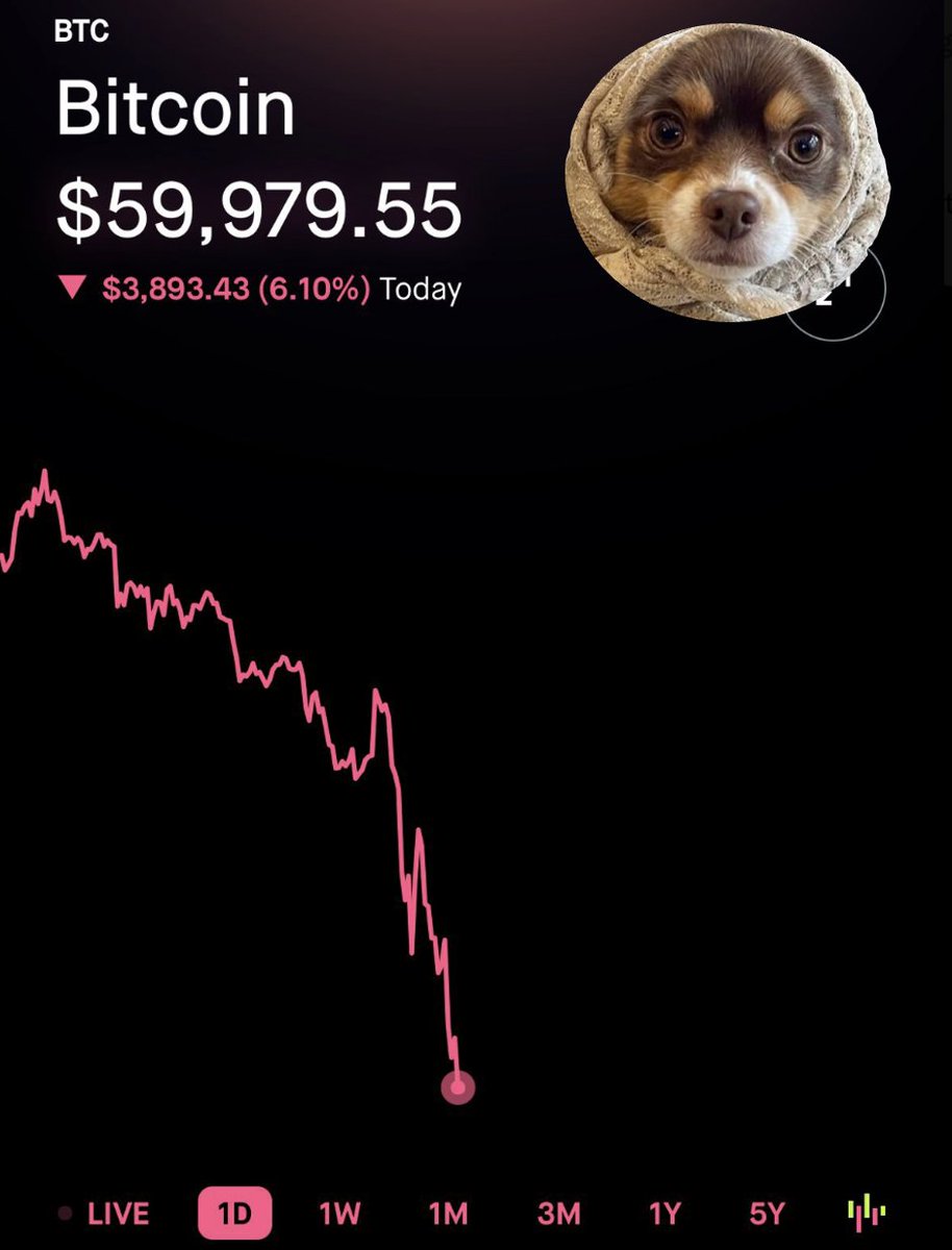 Don't worry, I'm gonna buy the dip this time 😉