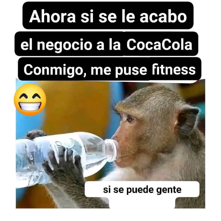 Saltamontes Petite 👧🏽 tweet media