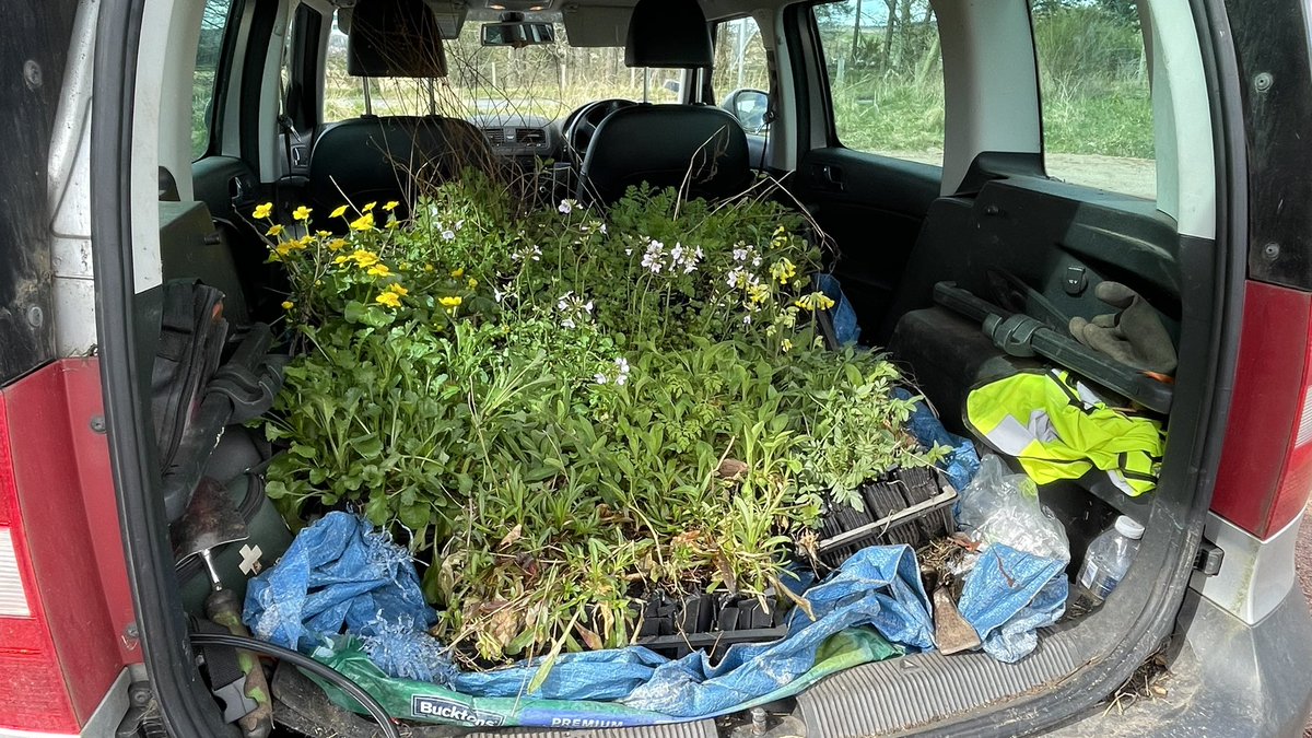 Dee Partnership tweet media