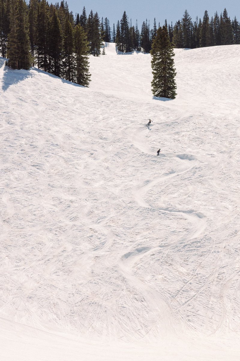 Wiggling our way through the final week of spring skiing ☀️