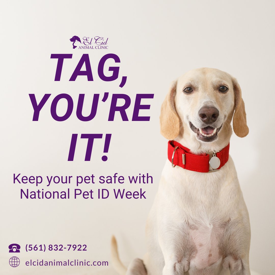 This National Pet ID Week, ensure your pet stays safe! Schedule a microchipping appointment today... TAG, you're it!! 🐶 🐶 🐶

🌐 elcidanimalclinic.com

#ElCidAnimalClinic #PetMicrochipping #Microchip #NationalPetIDWeek #PetID #PetPrevention #HealthyPets