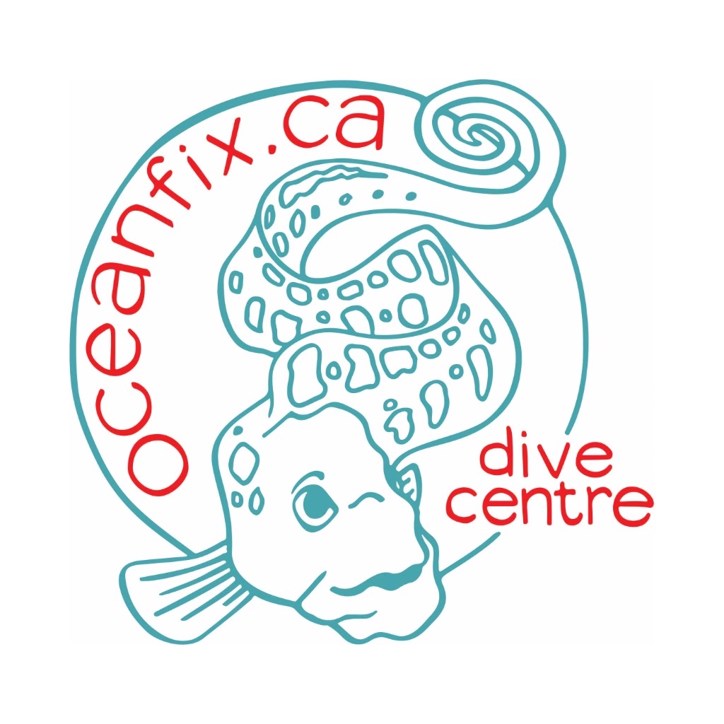 🎥 Dive into the deep with @Oceanfix.cadivecentre at their free screening of 'The Secrets of the Octopus' 🐙 Join Emmy-winning cinematographer Maxwel Hohn on April 22nd at 6:30 PM. Space is limited, RSVP now at info@oceanfix.ca #SecretsOfTheOctopus