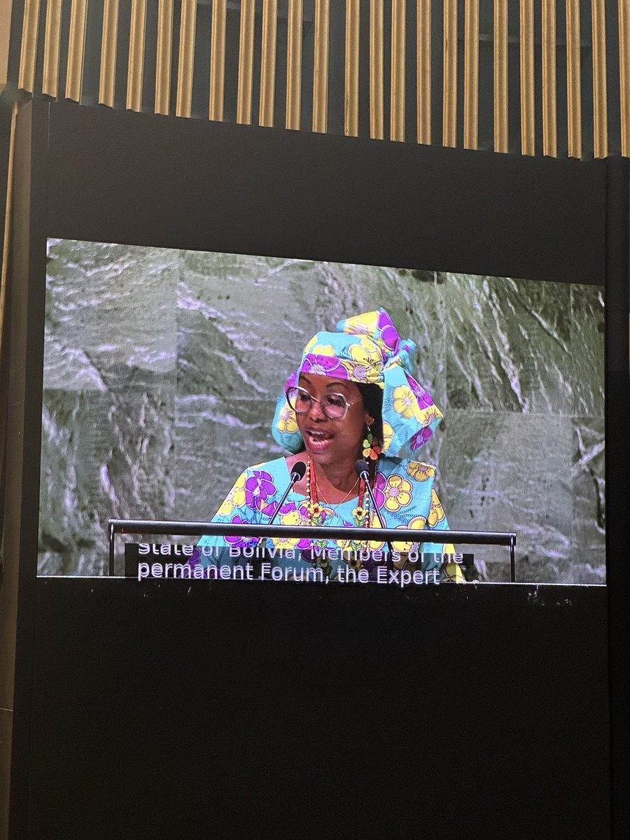 #UNPFII2024 Chair @hindououmar welcomes the recognition of #UNDRIP in many countries; however, minimum standards are not enough. #IndigenousPeoples are partners and are ready to amplify their voices. @landislife