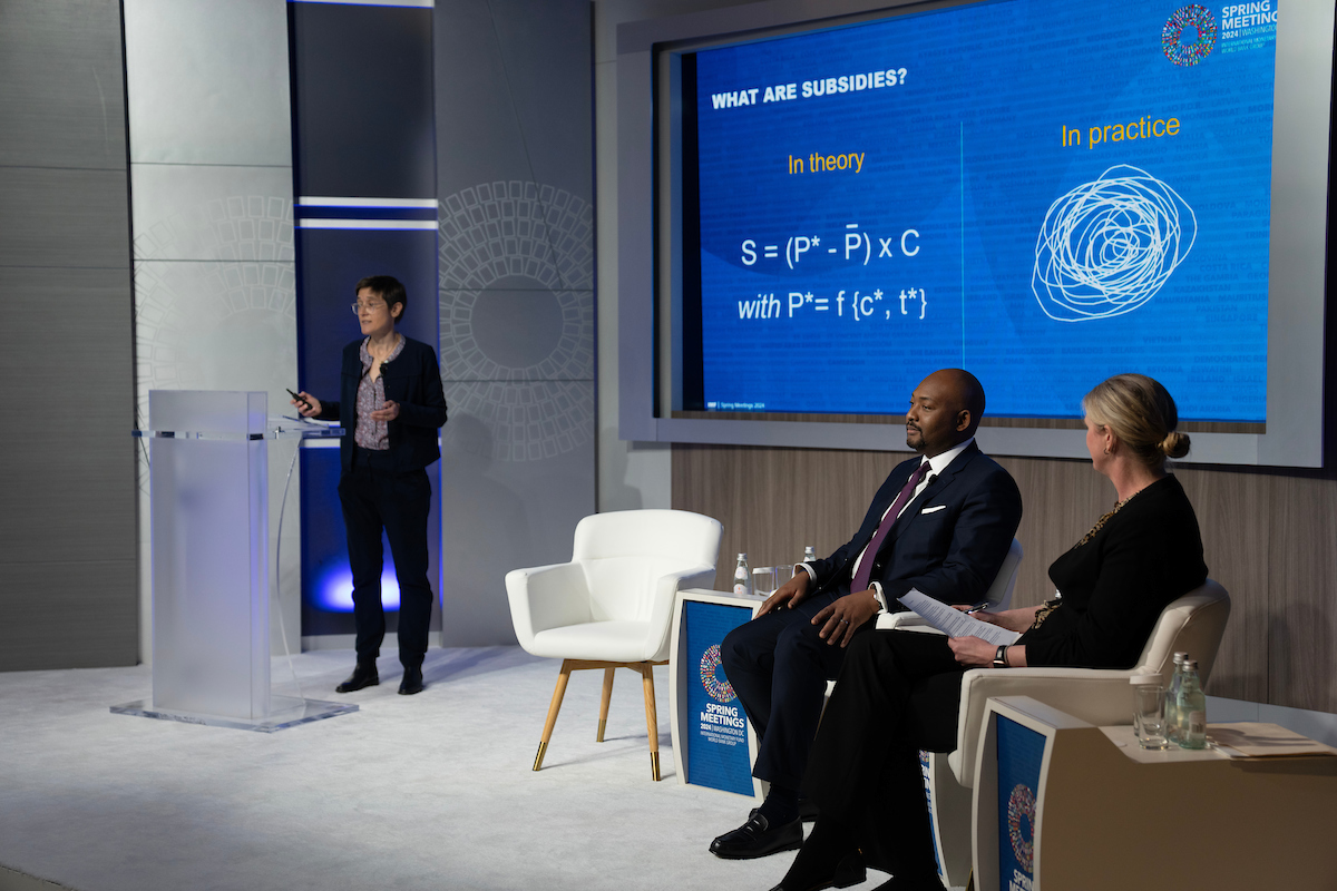 imfcapdev's tweet photo. "In theory, subsidies are the difference between a price 'that should be paid' and a regulated price, times consumption. In practice, it's a lot messier", said IMF's Delphine Prady when kicking off our event on implementing energy subsidy reforms: https://t.co/yYr2I1DC5U https://t.co/BSxHmaW6e1