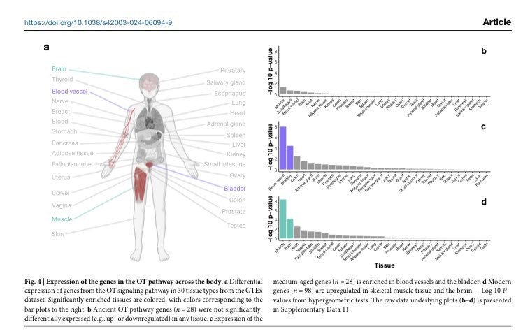 New paper just published in @CommsBio! 🎉 In this work led by @am_sartorius, we describe and functionally annotate the evolutionary timeline of the oxytocin signaling pathway nature.com/articles/s4200… 🔓 Analysis scripts ➡️ osf.io/rxphw/