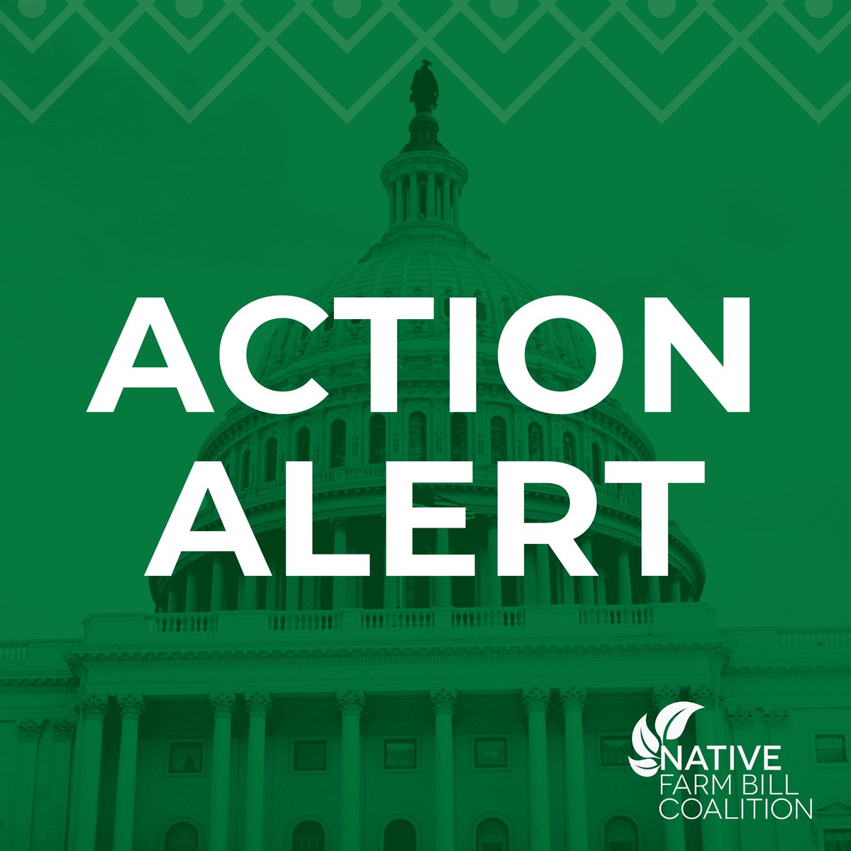 We need your support! Help us urge your representatives to introduce a House companion bill to the Tribal Access to Nutrition Assistance Act, which would improve food access throughout Indian Country. Learn more and take action: nativefarmbill.com/action-alerts