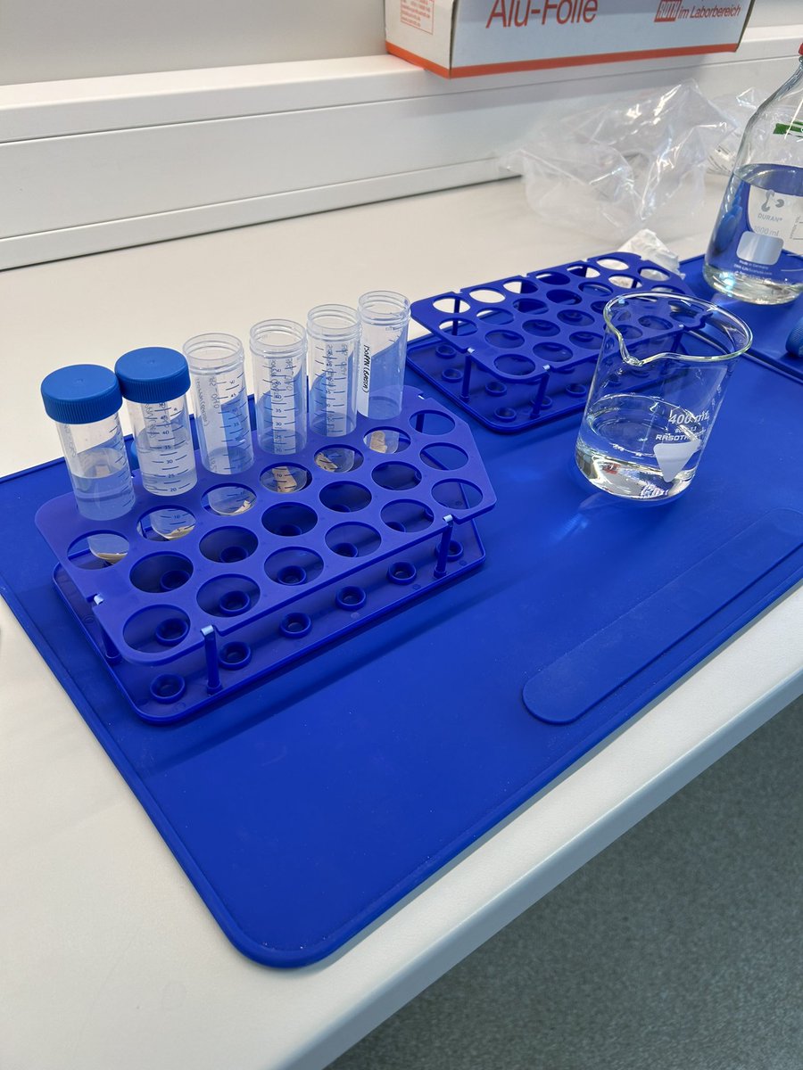 Today I started my first collagen extraction protocol. It feels like a big step and I’m excited to follow my samples through to the results! #stableisotopes #collagenextraction #edta