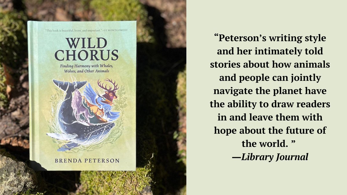 New! In 'Wild Chorus,' award-winning author Brenda Peterson draws on her lifelong relationship with animals to explore the wisdom we humans can glean from them. Learn more: bit.ly/4aWnQVd