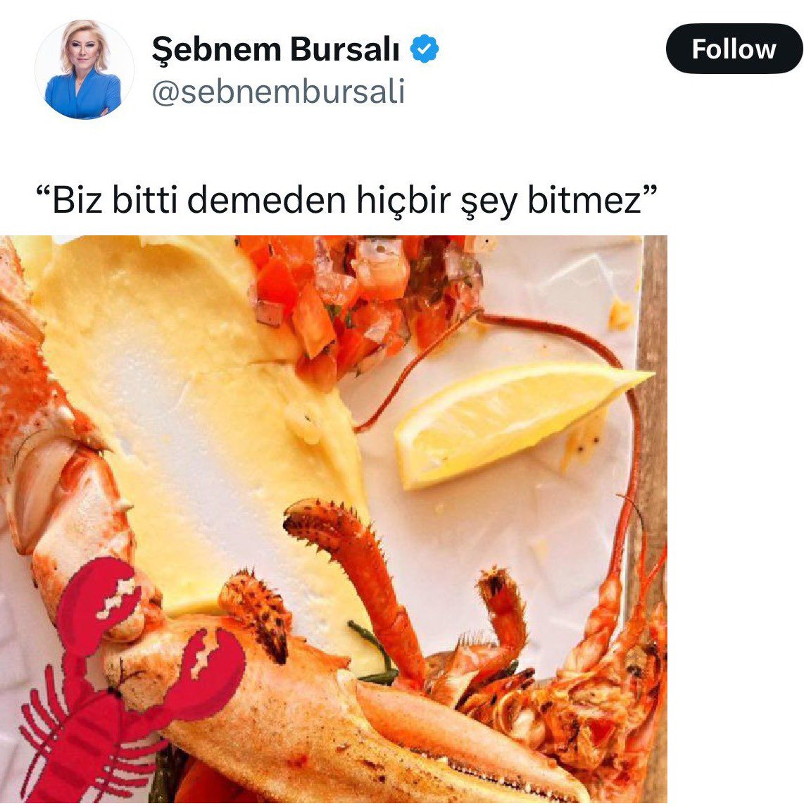 Şebnem Bursalı’nın yeni paylaşımı böyle olmalıydı