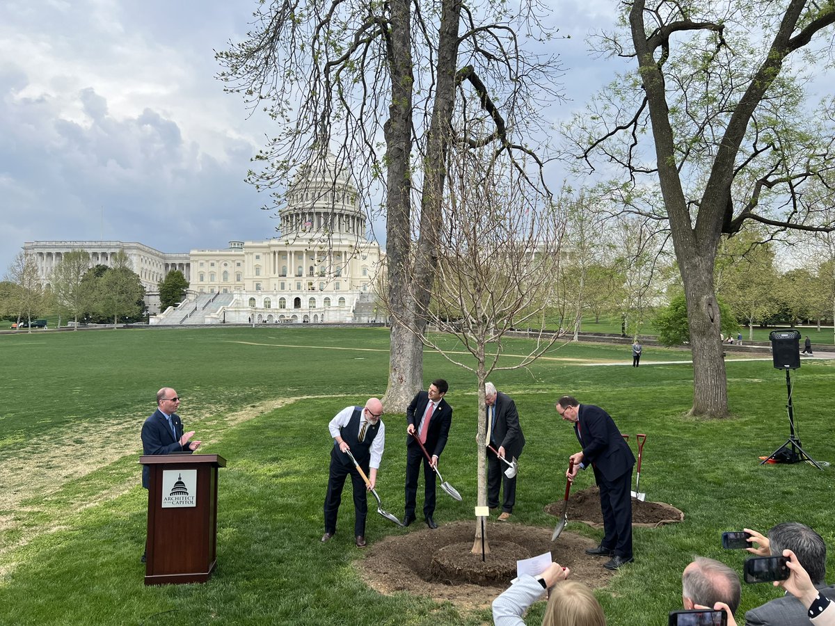 Today, I spoke at the Tree Planting Ceremony to honor the 175th anniversary of the great state of Wisconsin! Finally the Wisconsin Sugar Maple will be on the Capitol Grounds. Thanks to @HouseAdmin Chair @RepBryanSteil for leading this effort.