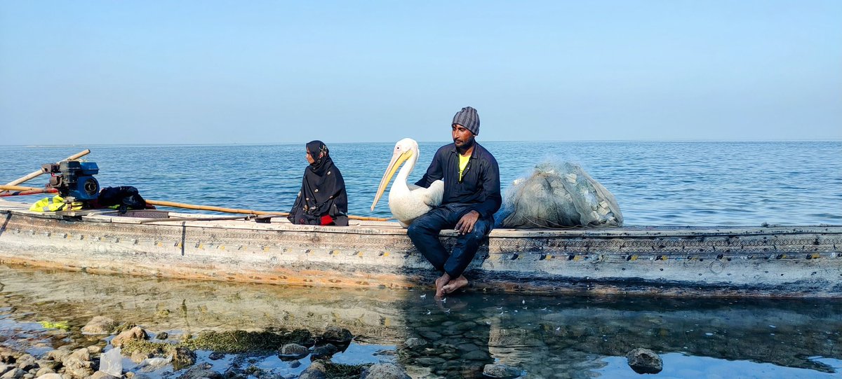 This beautiful couple goes early in the morning in cold waters for fishing, leaving their children behind. They say, now there are no fish and vegetables available in the Manchar lake. That's why, they live hand to mouth. 3/n