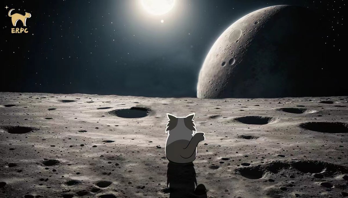 Funrtech's tweet photo. When I go to the moon, everyone gets a blessing🐾.#Sol #Cz https://t.co/3EUInb1gav