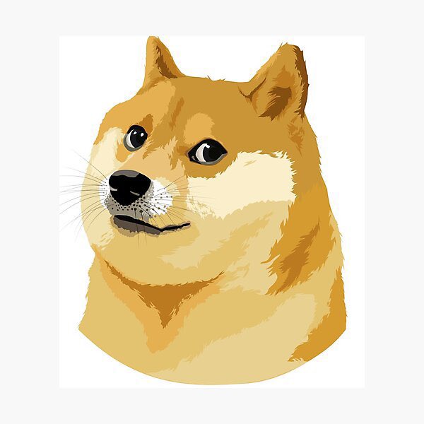 Stellaaa's tweet image. What we need now is a strong doge 🤓 #muchstrong #sowow