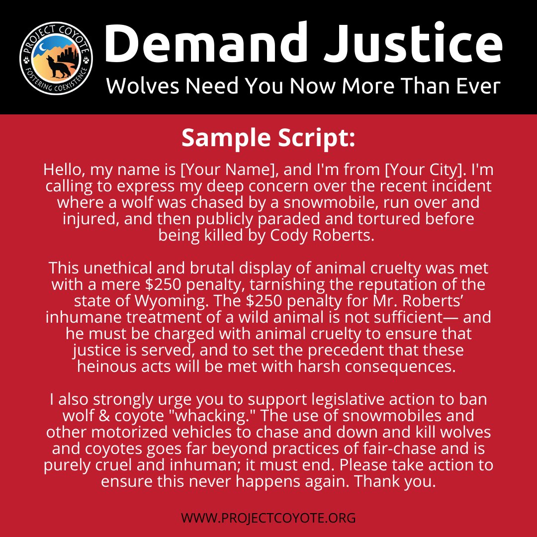 Join us to demand justice for this wolf and all wild wolves. Together, we will show #Wyoming, and the rest of the country, that we will not allow #wolves, #coyotes or any wild animals, to be legally tortured. tinyurl.com/5n82muf8

📷 Franz Camenzind