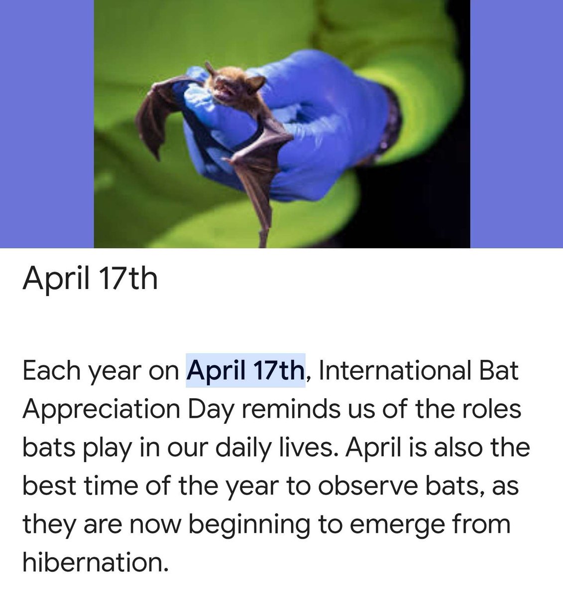 bat bat bat bat bat bat bat bat bat

🦇 🦇 🦇 🦇 🦇 🦇 🦇 🦇 🦇 🦇 🦇