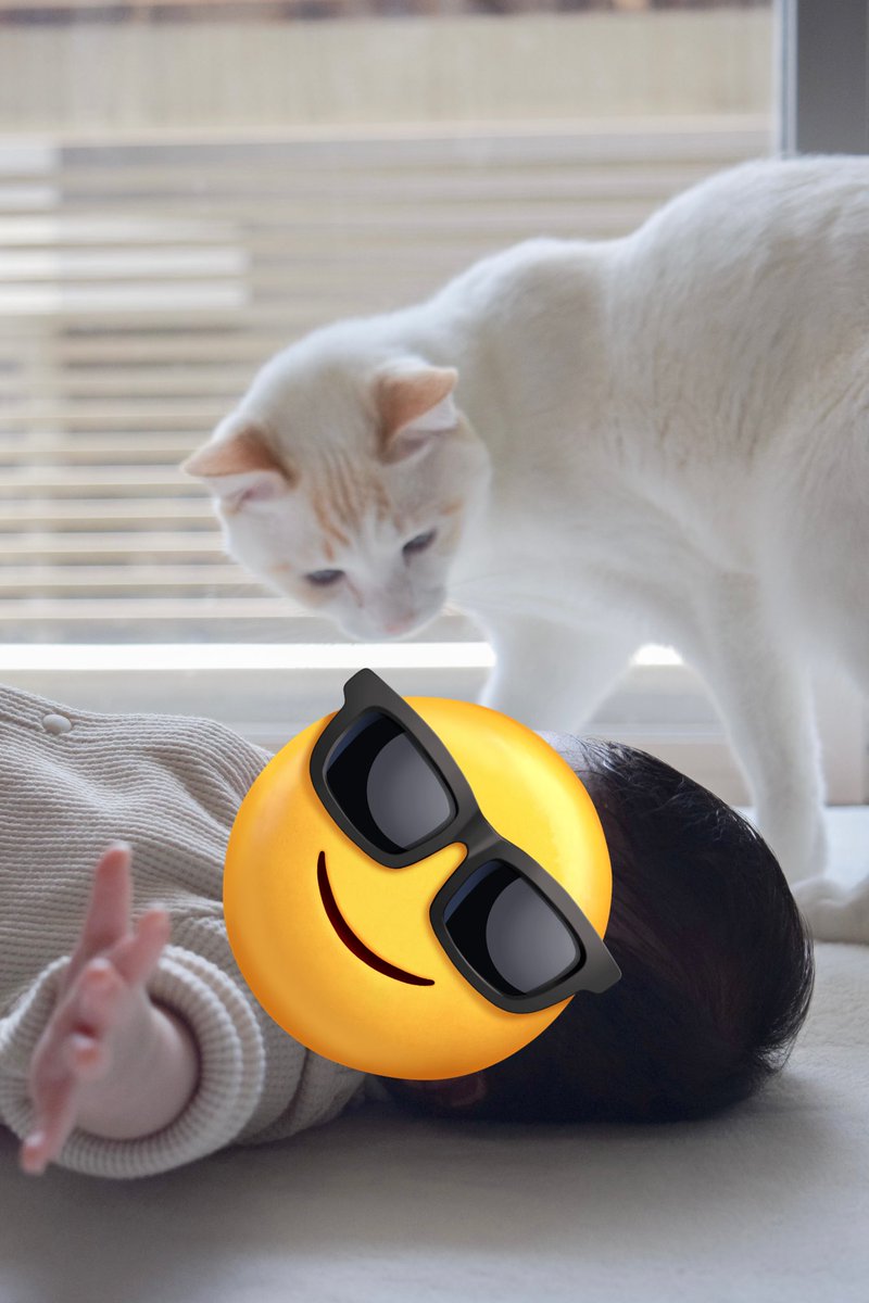 roy_luchi_nico's tweet photo. #ロイルとニコル #赤ちゃんと猫 #一眼レフ https://t.co/6uQOOqlL2D