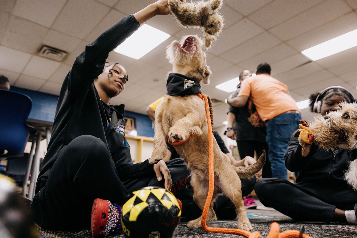 A Pawsitively Perfect Day 🐾 As part of @SITG_Browns, the Crew and Franklin County Dog Shelter brought puppies to Eastmoor High School to help relieve stress, as we continue to encourage great attendance throughout Columbus.