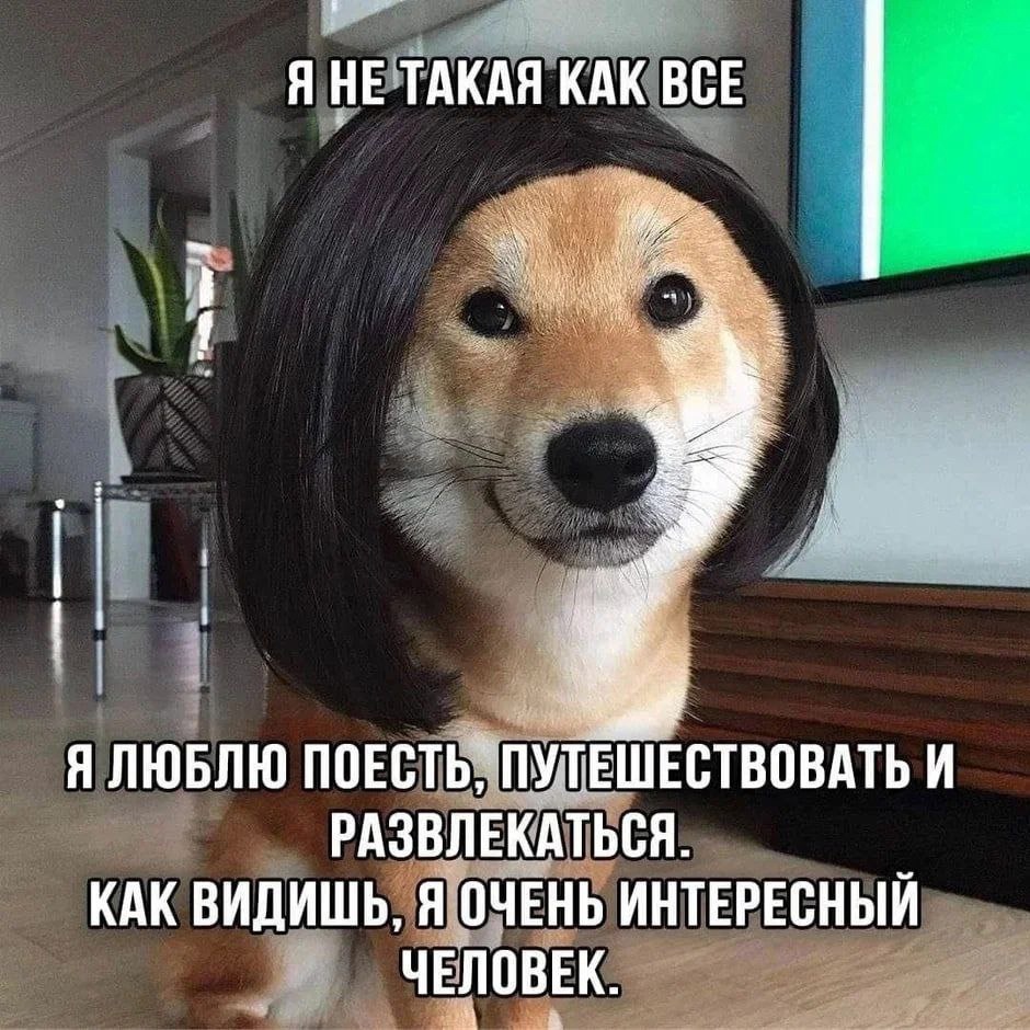 rus_4chan's tweet photo. https://t.co/4Frn669v3w