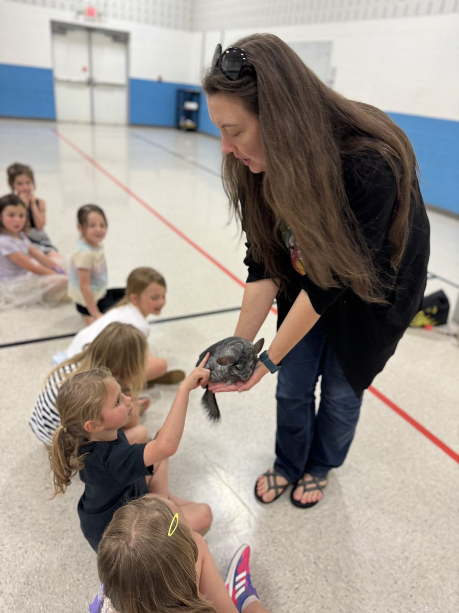 Z is for ZOO! Our @Sequiota Kinders had a big day petting zoo animals brought from @dpzoo to celebrate the ending of the alphabet! Stuffed animals were brought, live chinchillas, chickens, & lizards were pet…just the best day! @officialSPS