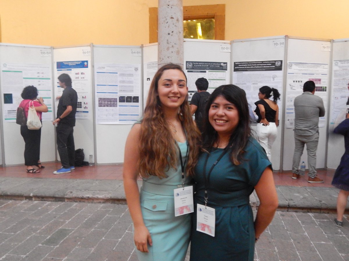 NeurobioSMB2024's tweet photo. Poster session 2 https://t.co/C2OD8wSvHY