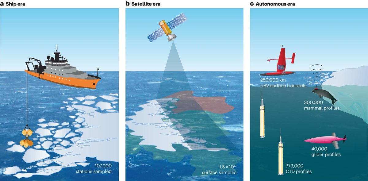 🕵️‍♀️Observations are key to unraveling the mysteries of our oceans! A recent review in @NatRevEarthEnv highlights the enigma of the Southern Ocean's carbon cycle: Despite being iron-limited with low productivity in most areas, the Southern Ocean still manages to act as a