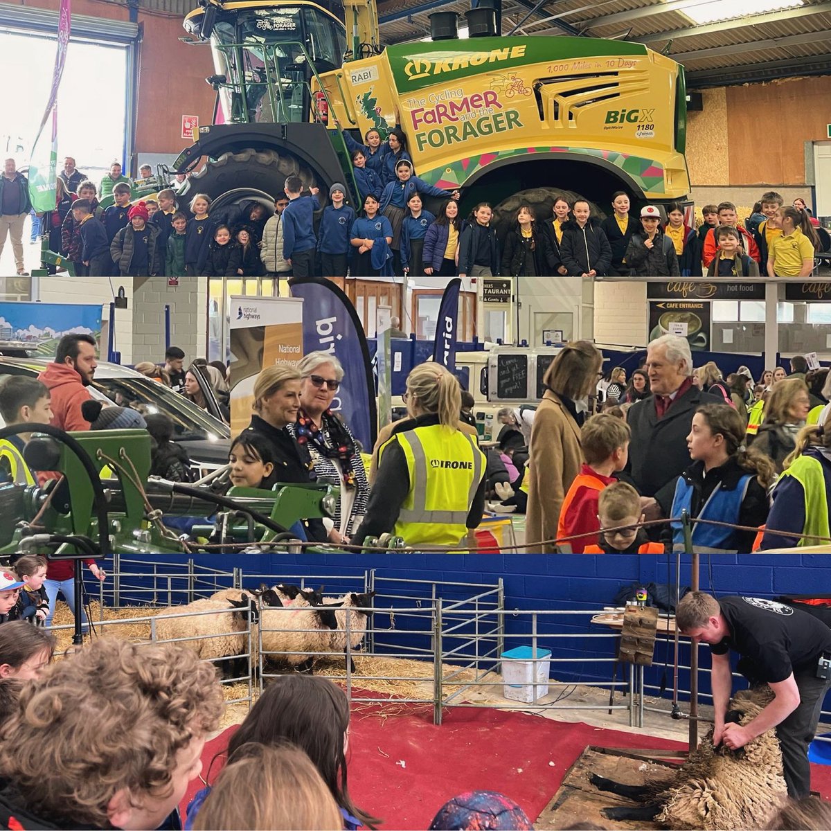 Absolutely brilliant day at the #FieldToFood Learning Day at @BathandWest hosting a lovely group of children from 2 local primary schools. A fab event which provided the children with so much insight into where their food comes from. So many great questions from the children too!