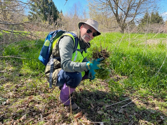 secondmarsh's tweet image. Our volunteers are an integral part of our organization - from our Board of Directors, to our onsite helpers for birdhouse cleanup, Earth Day cleanup, plant stewardship and Let’s De-Phrag the Marsh! projects.  Thank you to all of you on #NationalVolunteerWeek.
