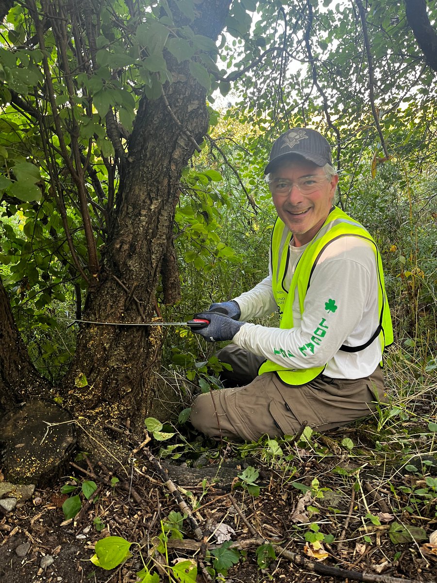 secondmarsh's tweet image. Our volunteers are an integral part of our organization - from our Board of Directors, to our onsite helpers for birdhouse cleanup, Earth Day cleanup, plant stewardship and Let’s De-Phrag the Marsh! projects.  Thank you to all of you on #NationalVolunteerWeek.